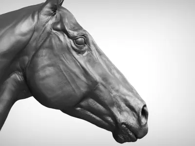  Horse Textured VFX MUSCLE SIMULATION 