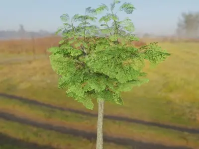 Black Alder Low-Poly Tree Package Low-poly 3D model