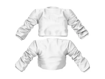 Basketball Style Hip Hop Long Sleeve Crop Top Low-poly 3D model