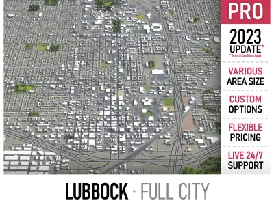 Lubbock  Low-poly 3D model