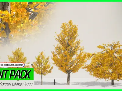 MEGA PLANT PACK - 10 Korea Street Plant Pack Low-poly 3D model