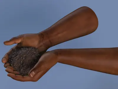  Afro American Hands Holding Soil 