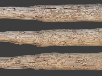 Wood Log Low-poly 3D model