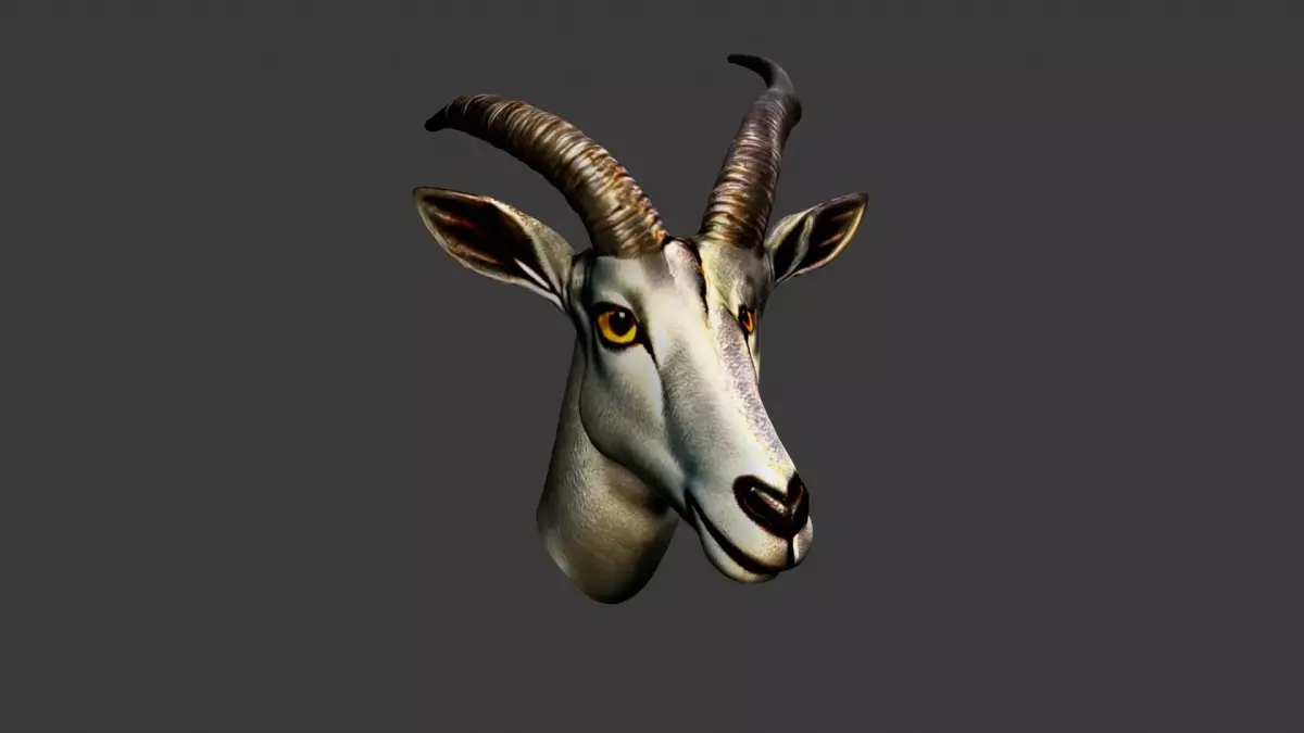 Animal Head Low-poly 3D model 24