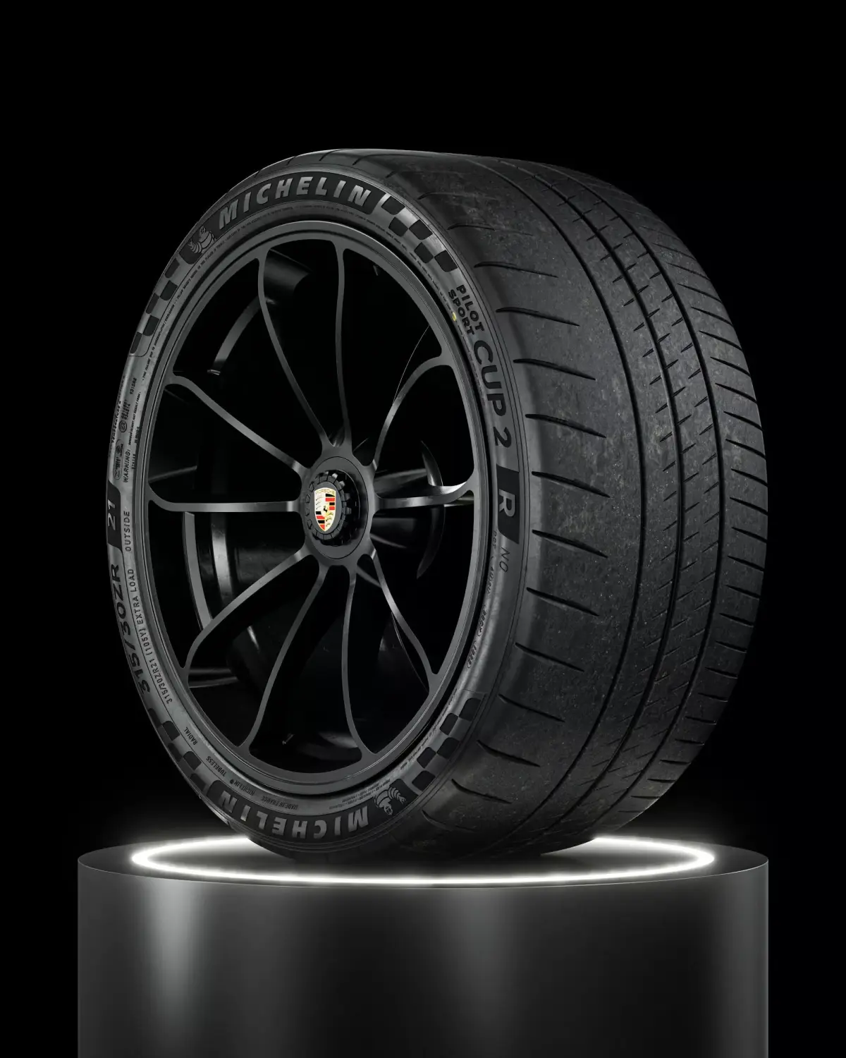Michelin Pilot Sport CUP 2 R 315 30 ZR21 105Y GT3 3D model