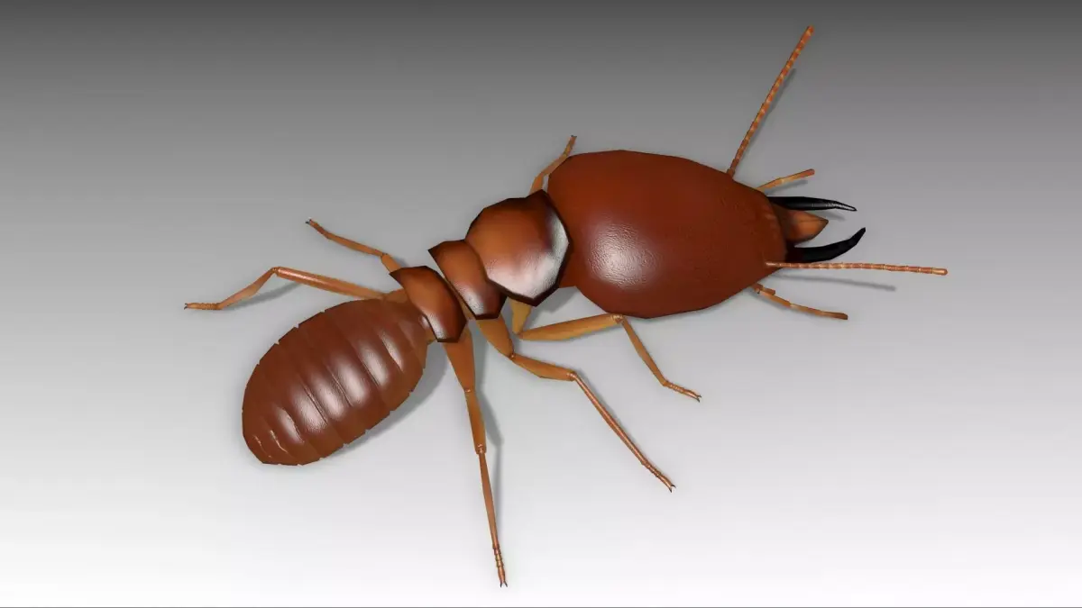 Termite ant Low-poly 3D model