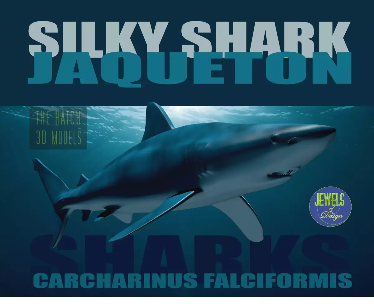Silky Shark 3D model