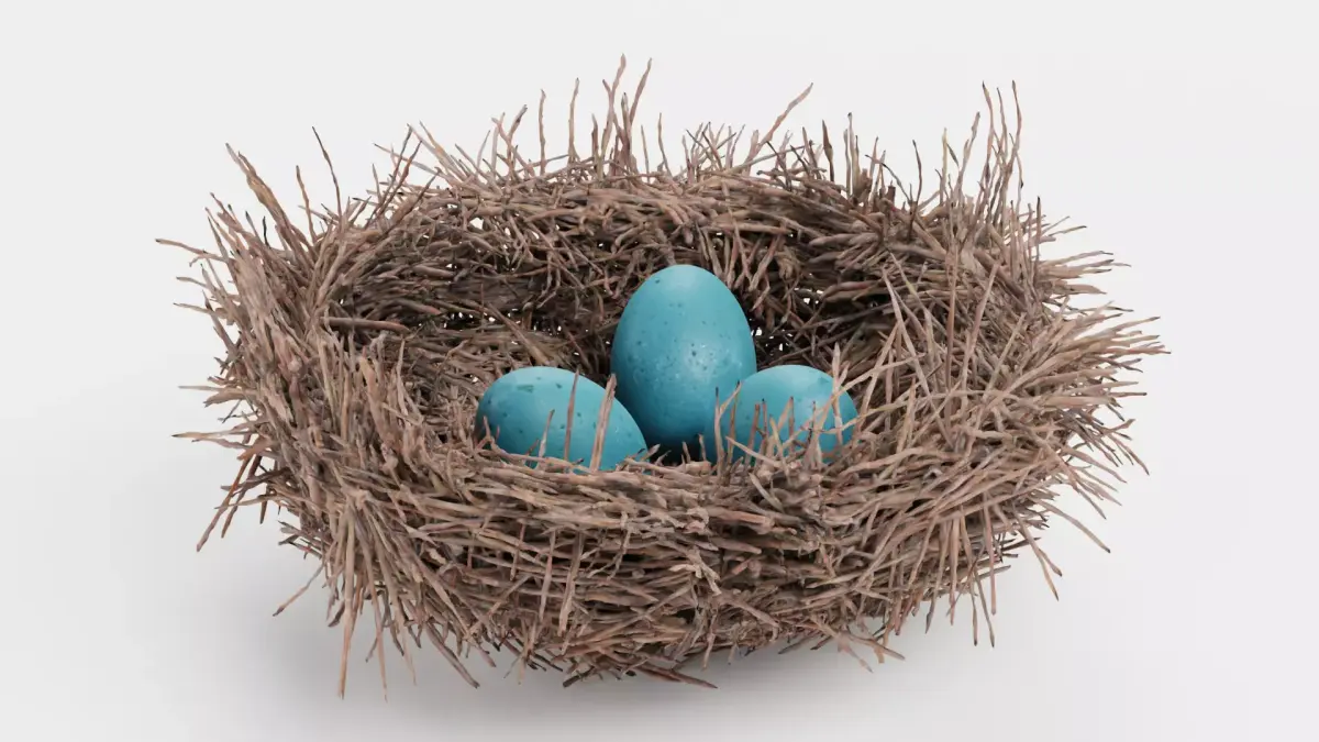 -Nest with Eggs- 3D model