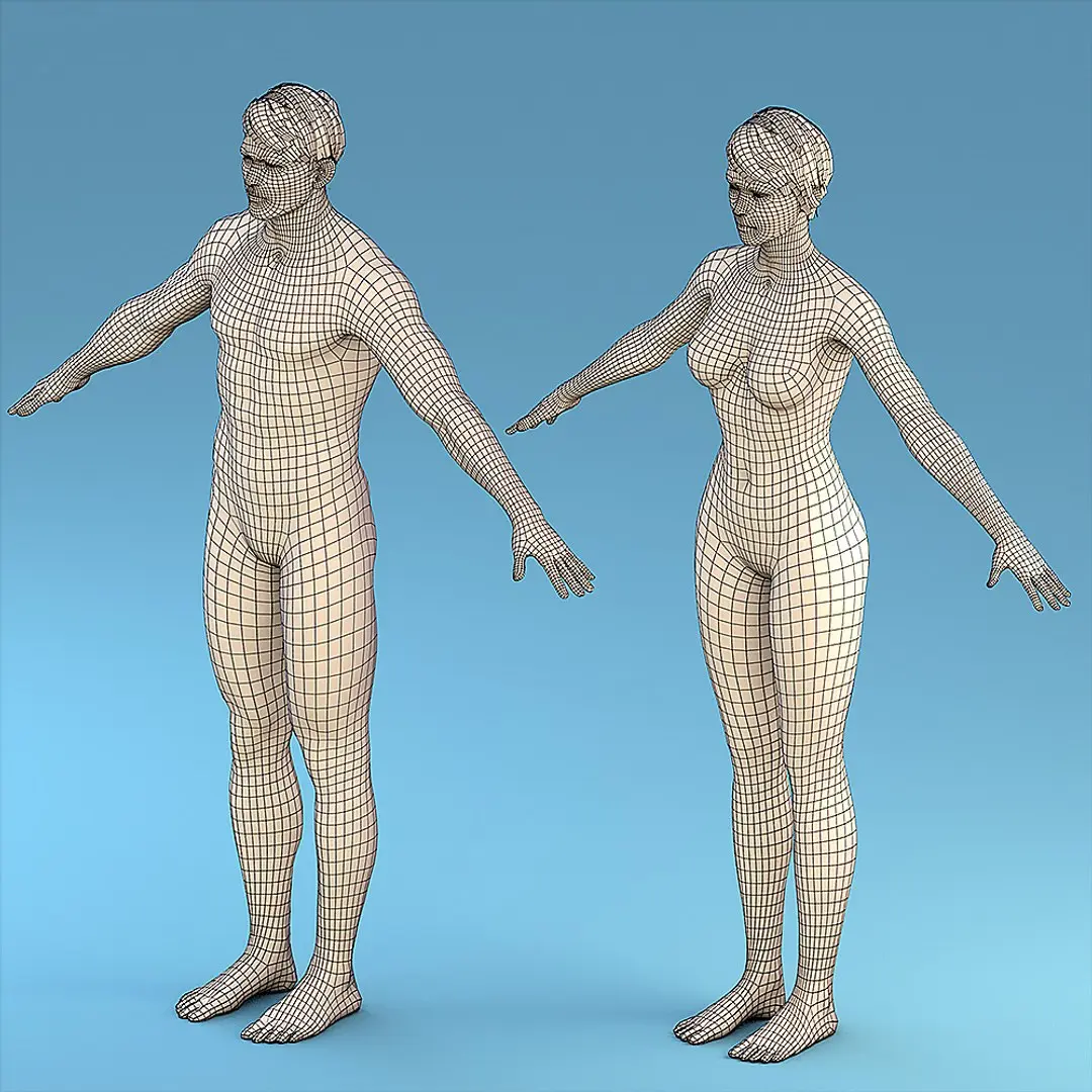 Base Character Male or female 3D model