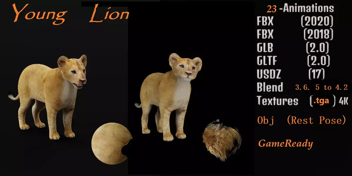 Lion Cub Free 3D model
