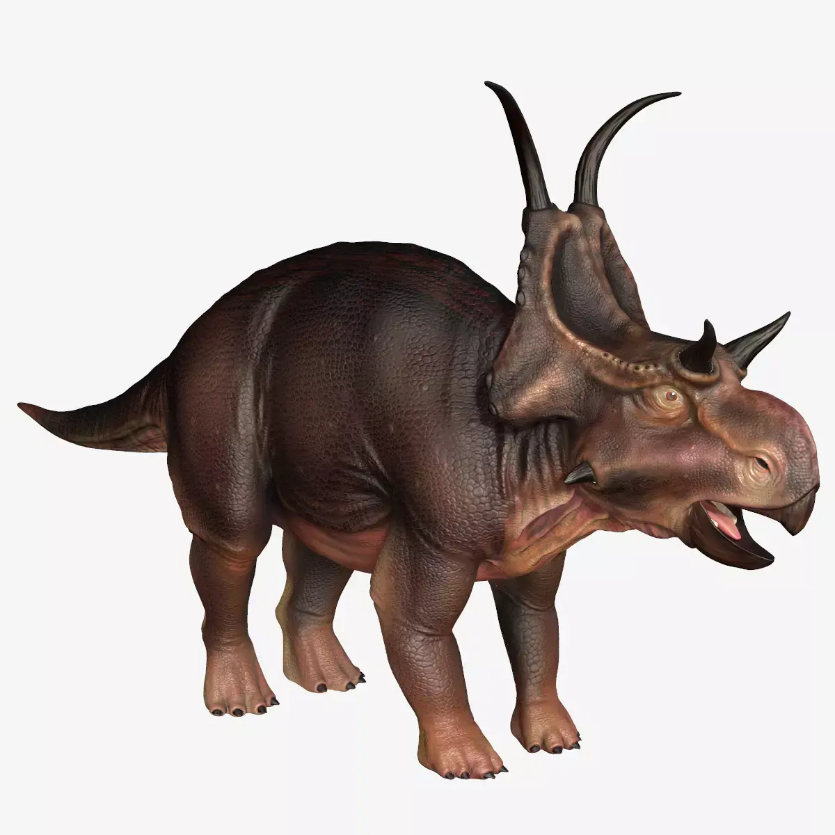 Diabloceratops dinosaur Low-poly 3D model