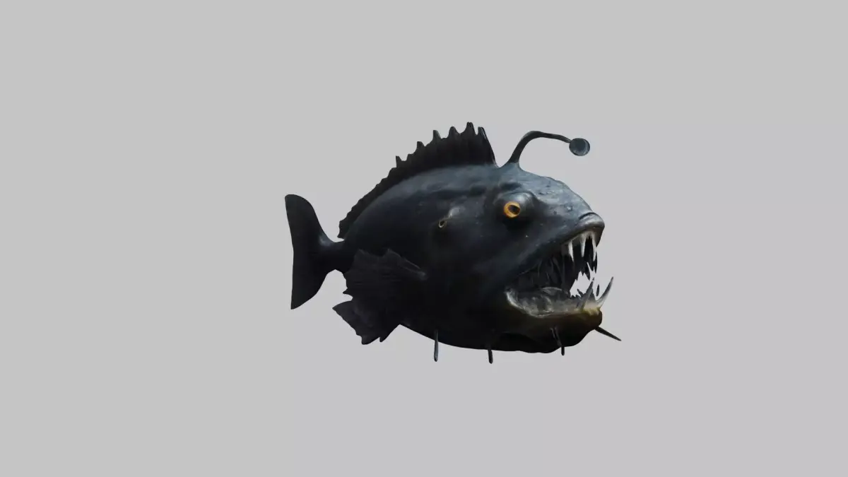 Black Humpback anglerfish Deep-sea fish Abyss Abyssal Low-poly 3D model