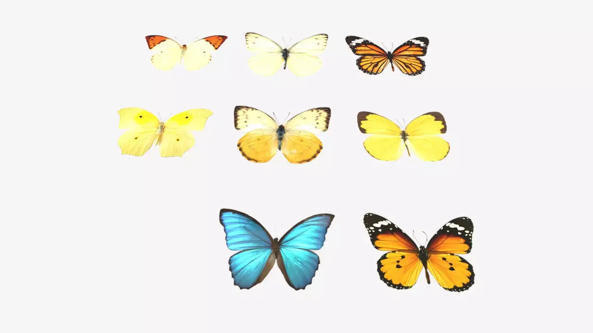 Butterflies butterfly Low-poly 3D model