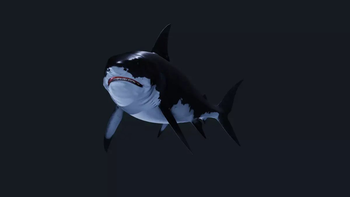 Shark Great-white shark 3D model