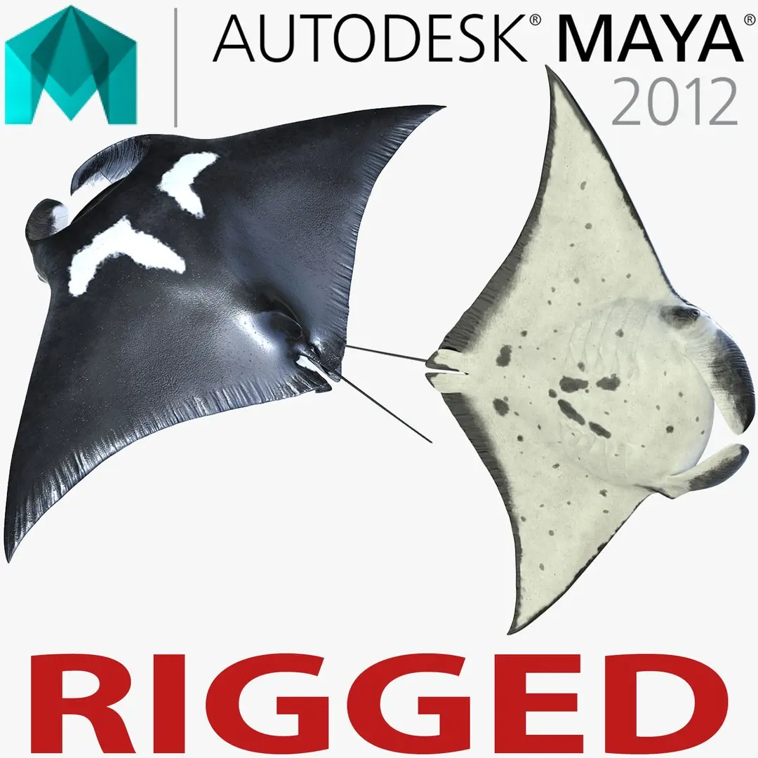 Manta Ray Rigged for Maya 3D model