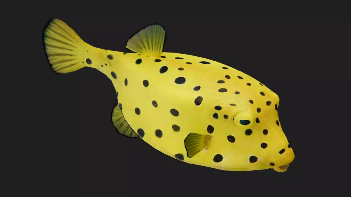 Boxfish Low-poly 3D model