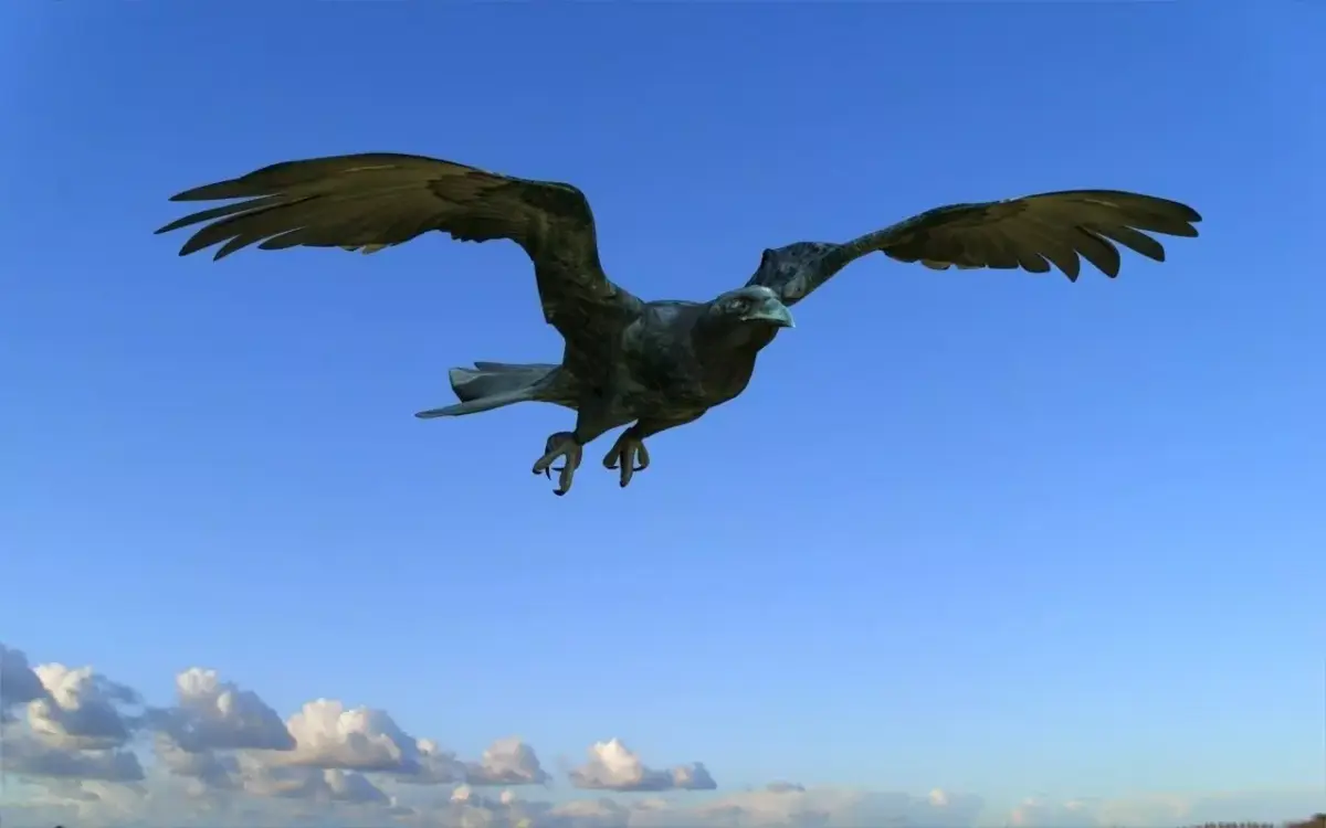 Crow modeling and rigged For 3d max Low-poly 3D model