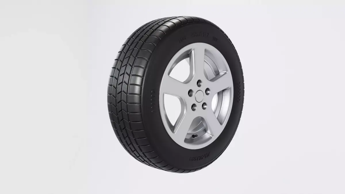 Tire all-season 205 R17 95T 3D model