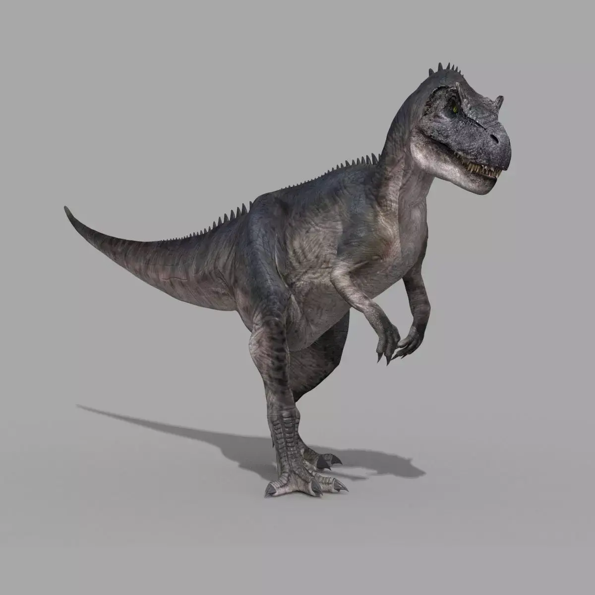 Real Animated Allosaurus - 8K 3D model