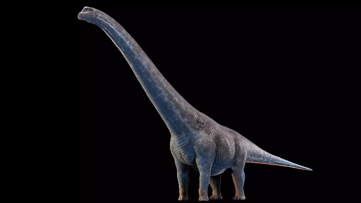 Argentinosaurus Animated 3D model