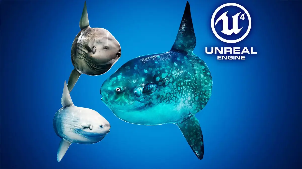 Ocean Sunfish Pack - UE4 Low-poly 3D model