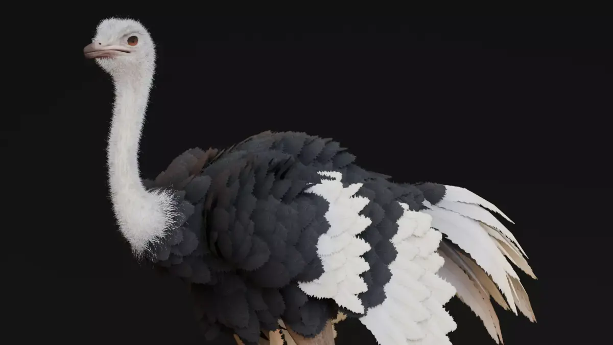 Realistic Animals Savannah - Ostrich Low-poly 3D model