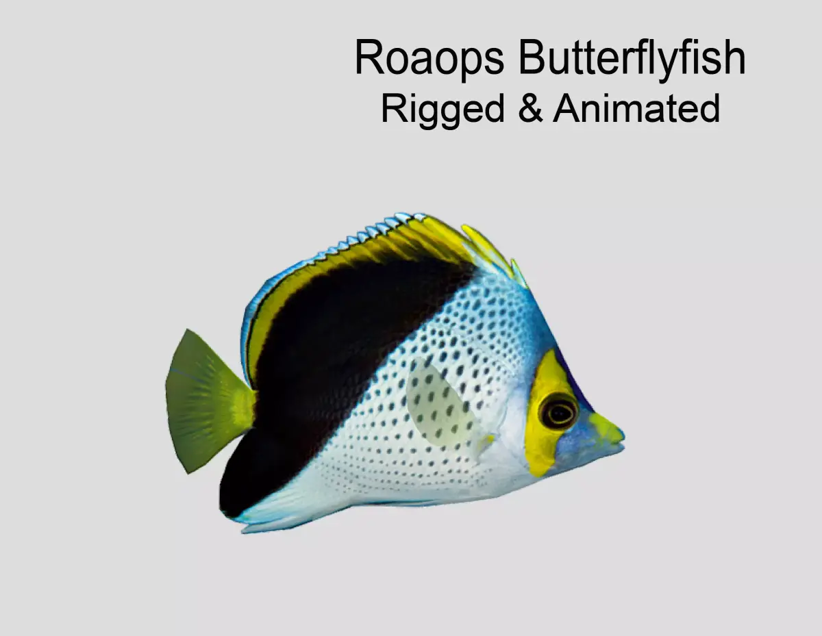 Butterflyfish Low-poly 3D model