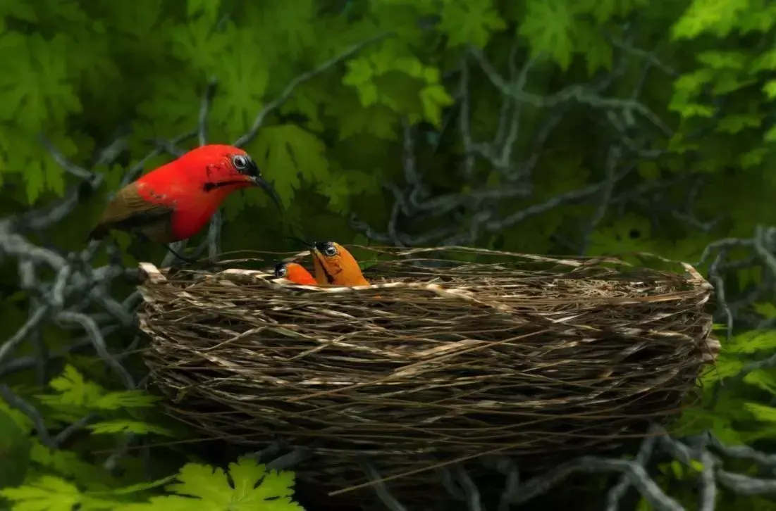 birds weth nest 3D model