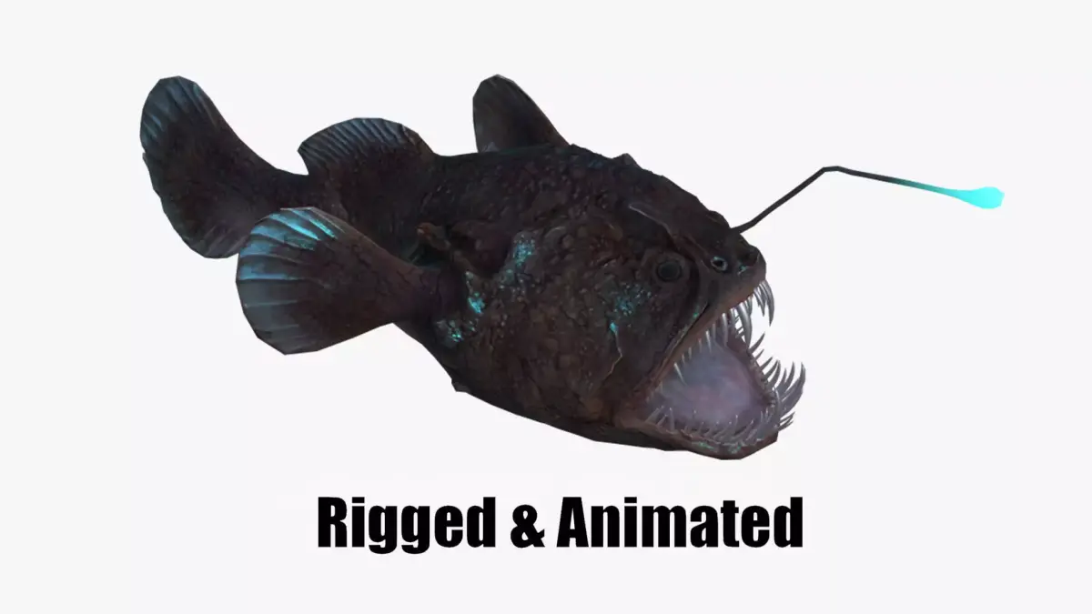Angler Fish monkfish 3D model
