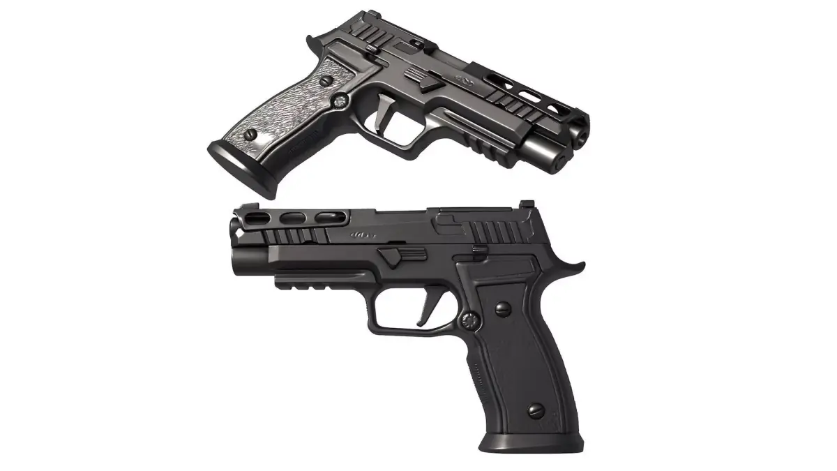 P320 AXG PRO 3D print model