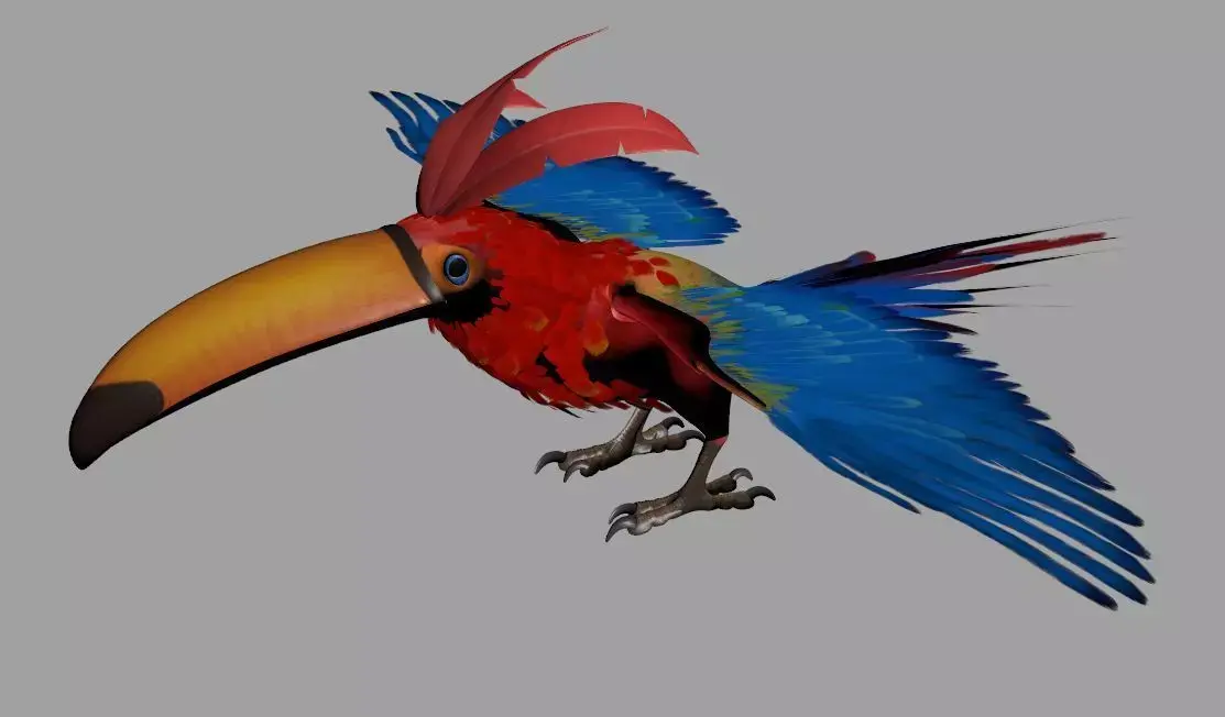 Toucan 3D model buy