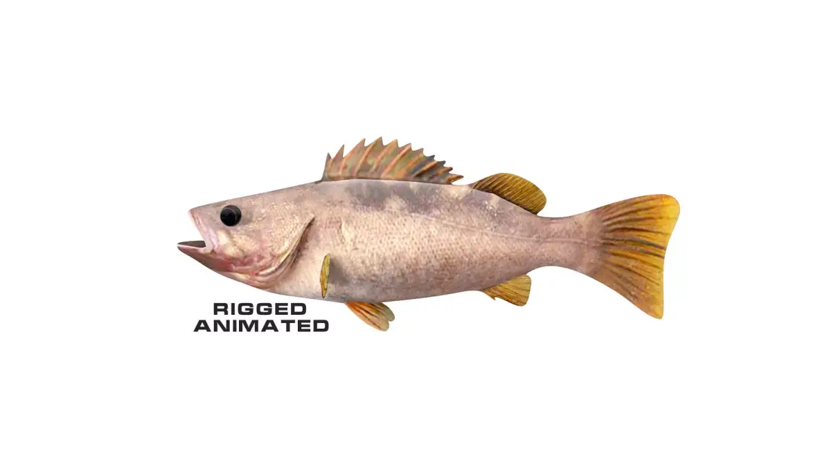 Low-Poly Olive Rockfish Animated Low-poly 3D model