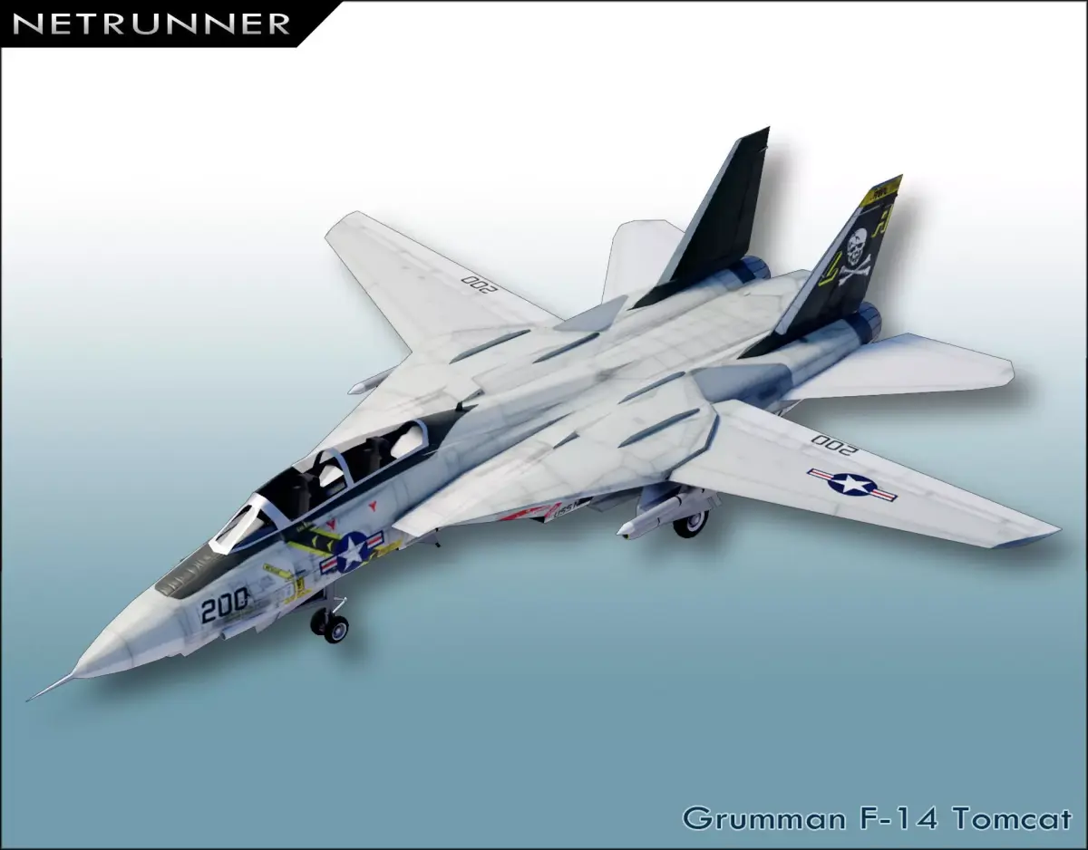 Grumman F-14 Tomcat Low-poly 3D model