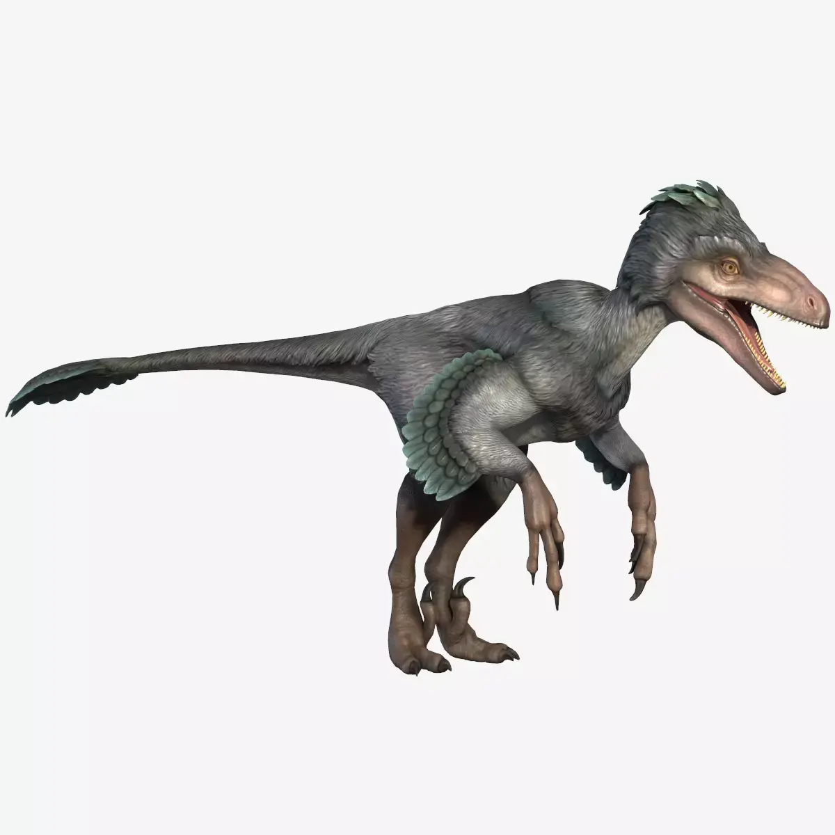 Deinonychus dinosaur Low-poly 3D model