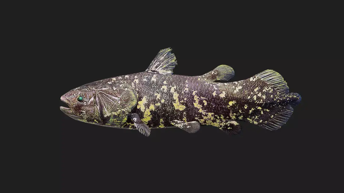 Coelacanth Low-poly 3D model purchase