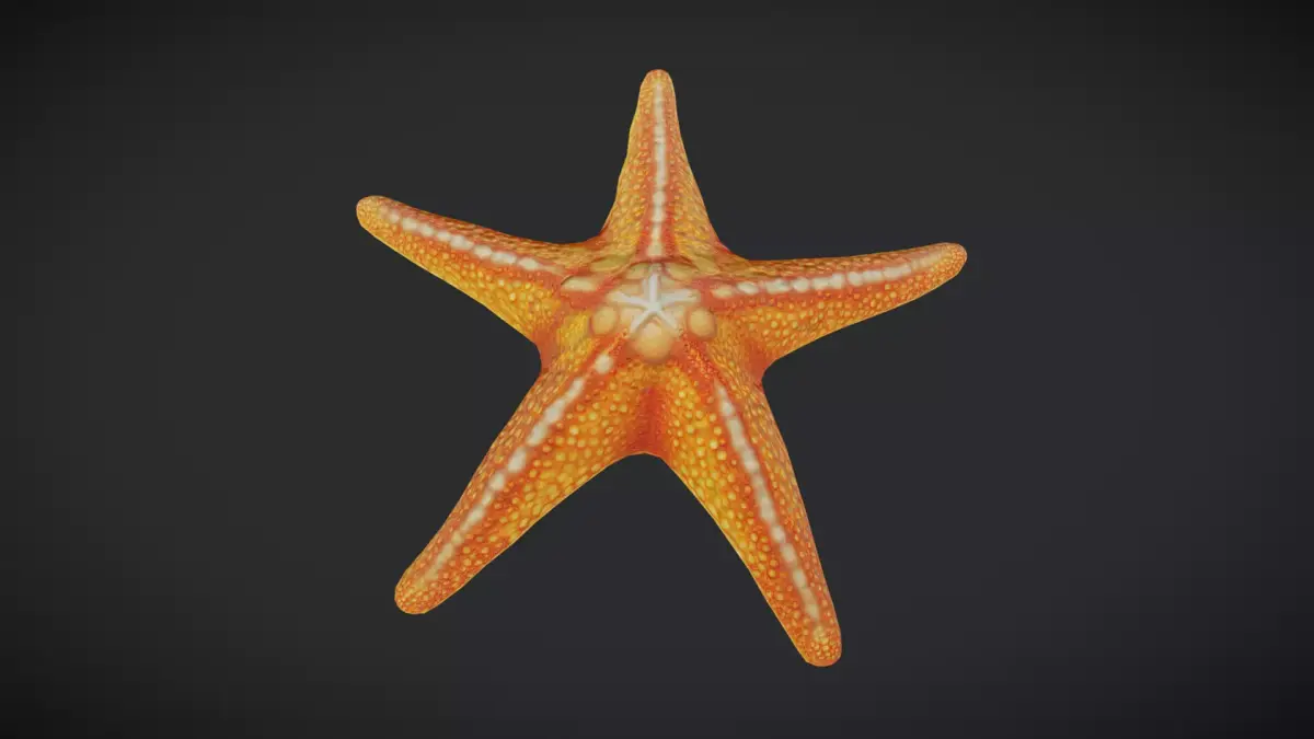 Starfish Low-poly 3D model get