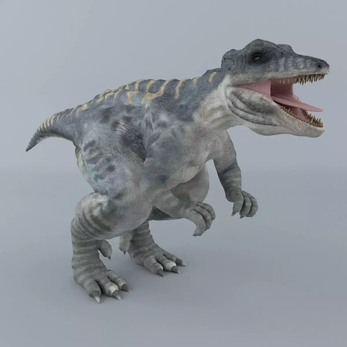 Giganotosaurus dinosaur 3D model