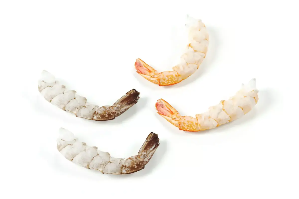 polypasta - shrimp 01 - peeled 3D model