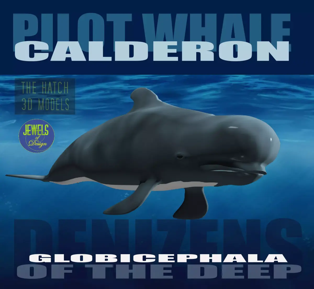 Pilot Whale 3D model