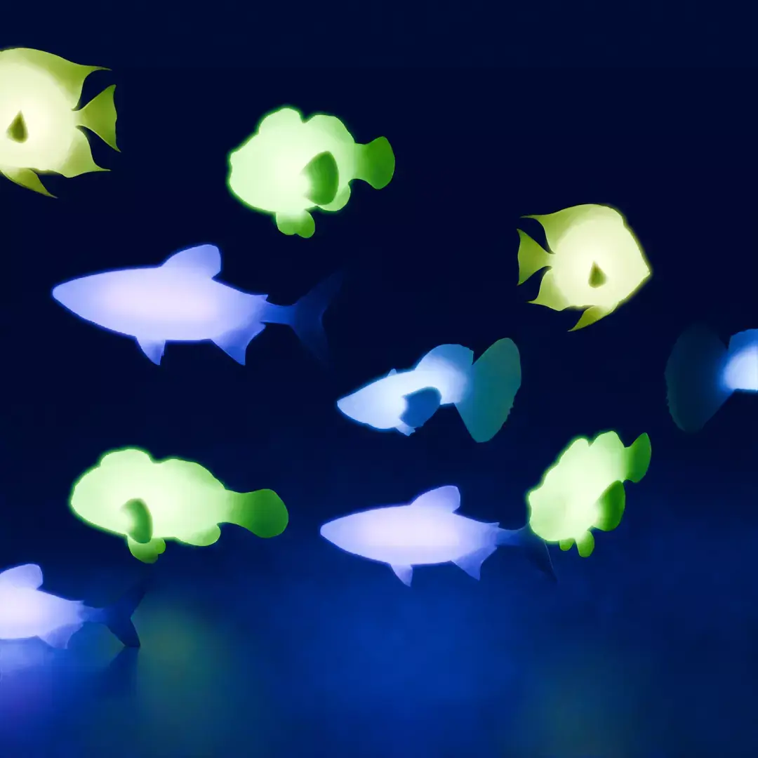 Indirect lighting of tropical fish 3D model
