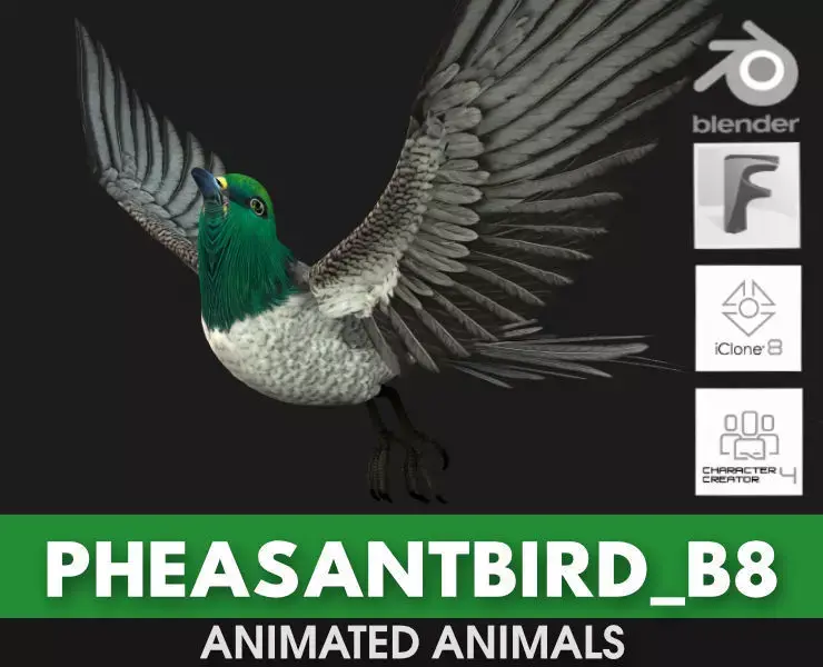 PheasantBird B8 3D model