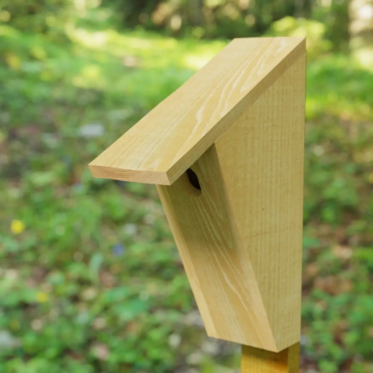 Wooden Bluebird House 3D model