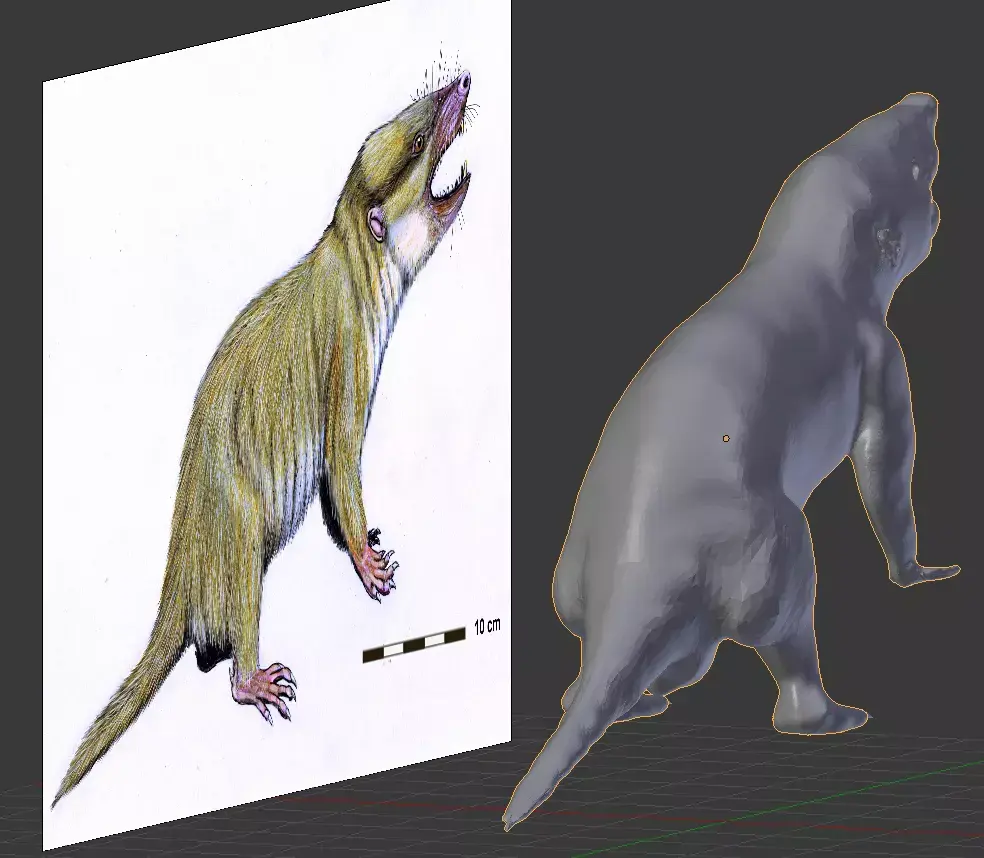 Gobiconodontidae -A rat lol 3D model