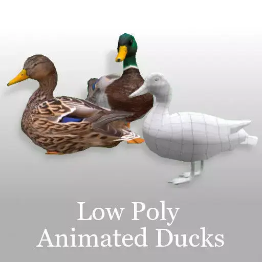 Animated Mallard Ducks Low-poly 3D model