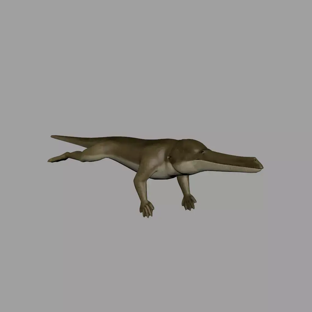 Remingtonocetus 3D model