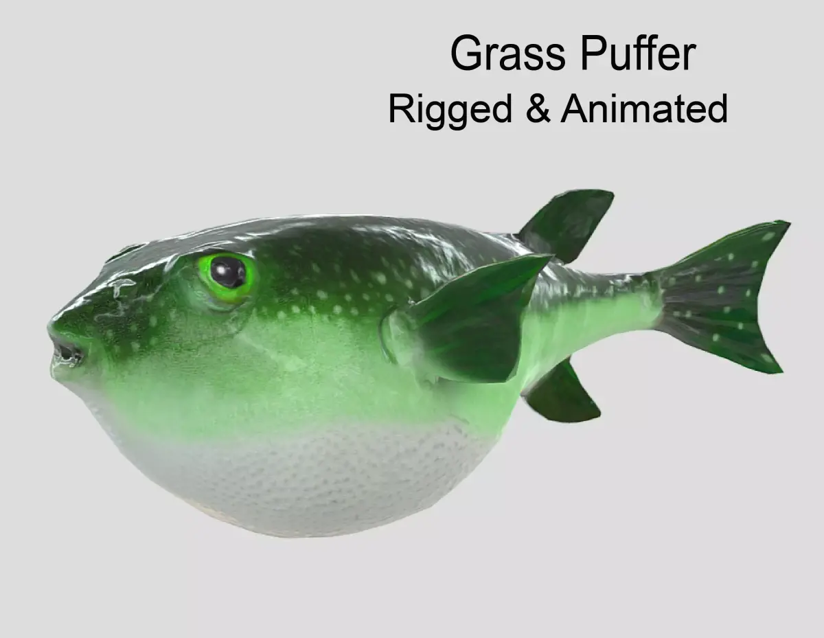 Grass Puffer Realistic Animated Low-poly 3D model