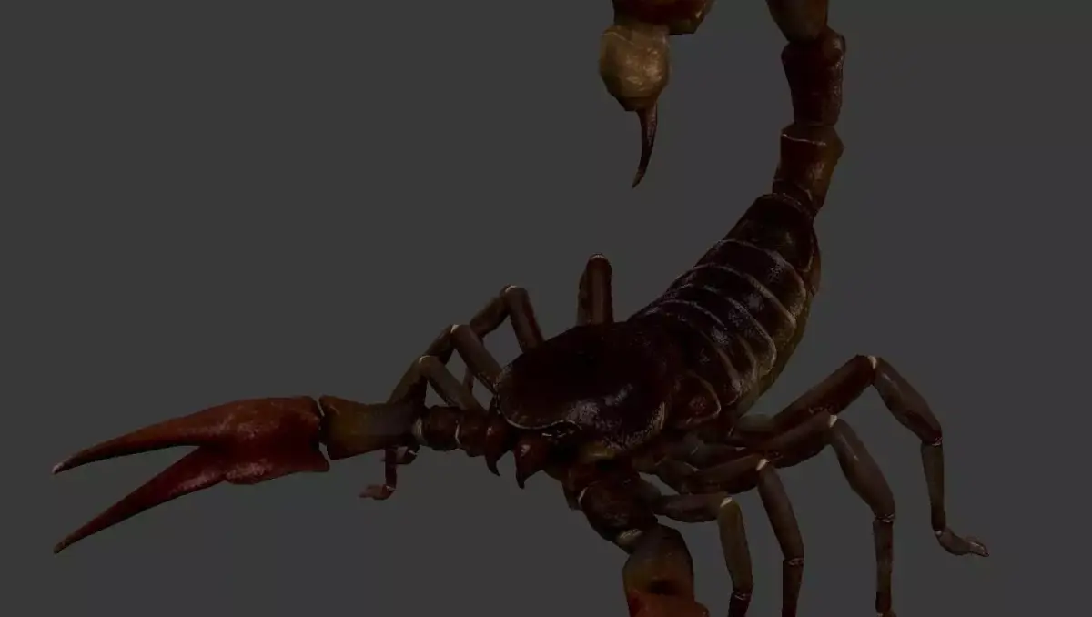 Scorpion Low-poly 3D model purchase