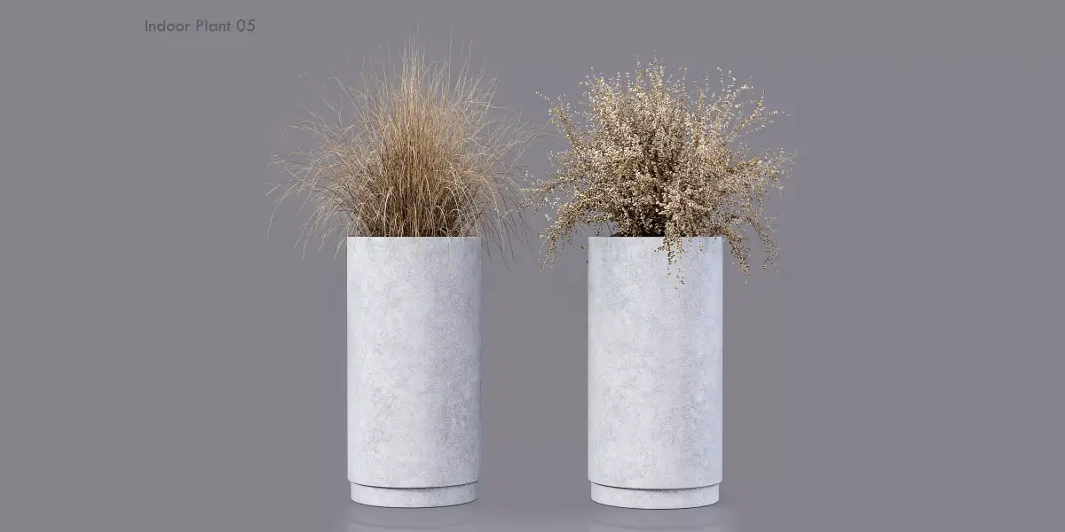 Indoor Plant 05 Free 3D model