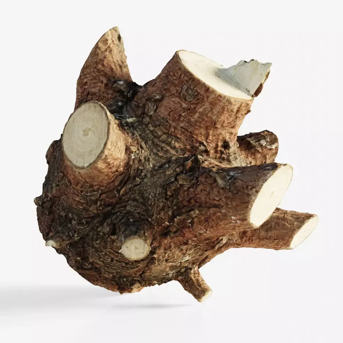Scanned tree trunk firewood Low-poly 3D model