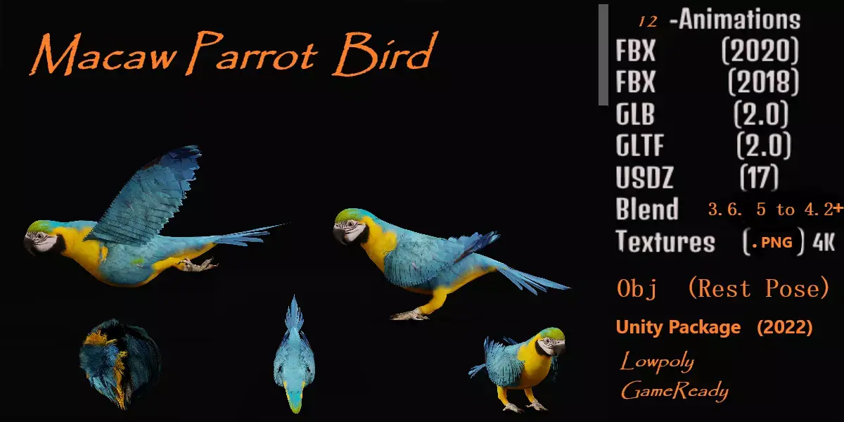 Macaw Parrot Bird Low-poly 3D model